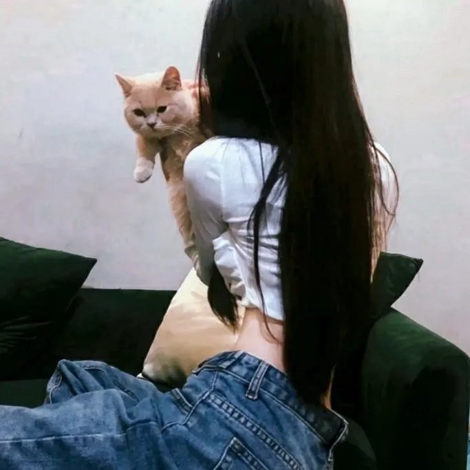 暗月传说